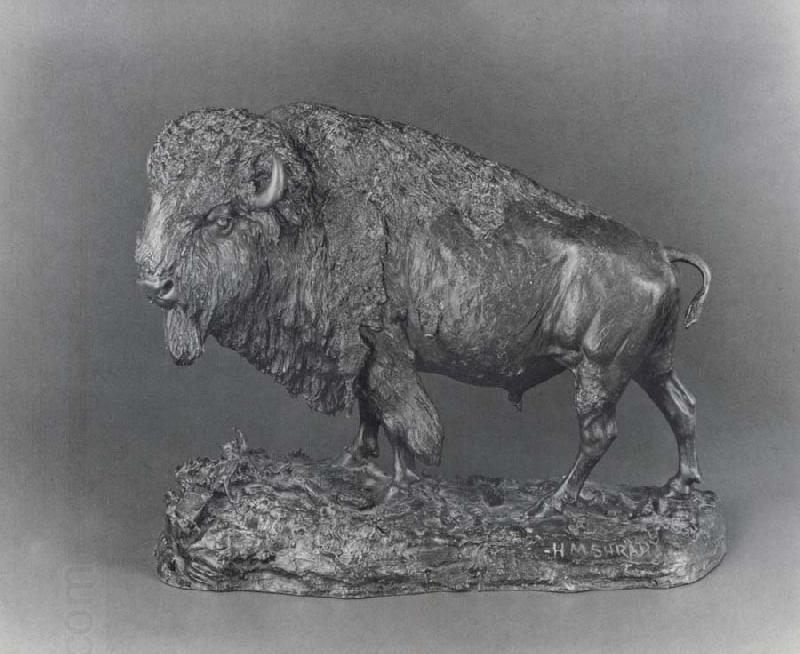 Henry Merwin Shrady Buffalo